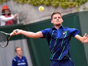 Goffin through to quarter-finals