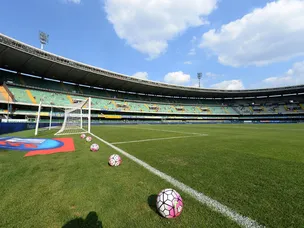 Afriyie Acquah strike earns Torino draw