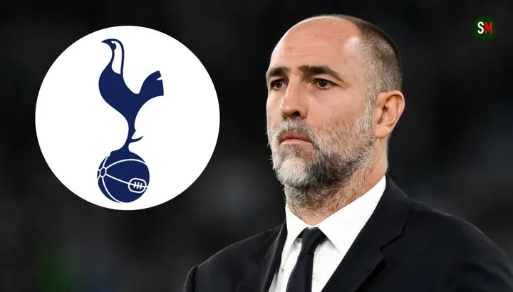 Igor Tudor 'ready to accept' Tottenham job - why he is perfect for Spurs