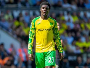 Norwich vs Birmingham - prediction, team news, lineups