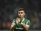 Preview:LDU Quito vs Palmeiras - prediction, team news, lineups