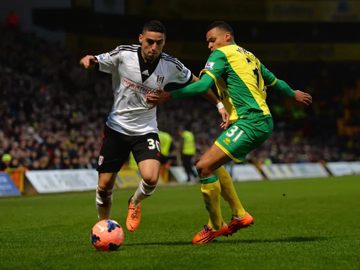 Fulham thrash Norwich 