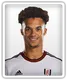 Antonee Robinson