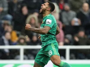 Second-half Hornets goals sting Newcastle