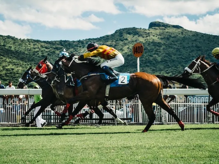 Reasons why horse racing betting is popular