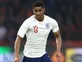 England to face Switzerland, USA in friendlies