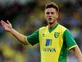 Birmingham eye Van Wolfswinkel loan