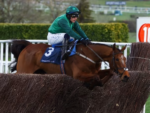 Cheltenham Festival 2024: Wednesday's tips and odds, including Queen Mother Champion Chase