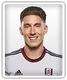 Harry Wilson