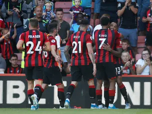 Callum Wilson nets brace as Bournemouth see off Everton