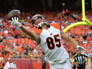 Bengals beat Browns for eighth win