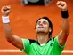 Live Commentary: French Open: Ferrer vs. Tsonga - as it happened