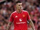 Man United release Sesko statement as fears over shin issue grow
