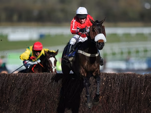 The Druids Nephew takes Handicap Chase