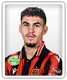 Brandon Domingues