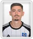 Dennis Hadzikadunic