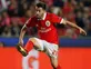 Wolves 'monitoring Benfica midfielder'