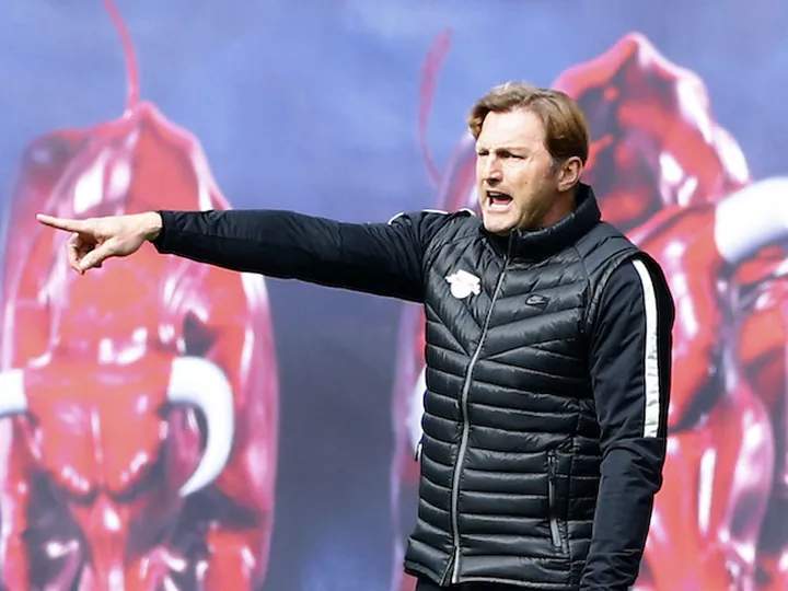 Southampton close to appointing Ralph Hasenhuttl as new boss â€“ reports