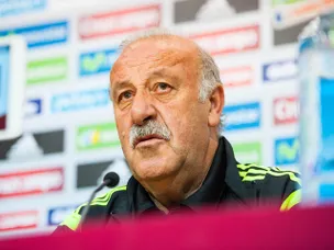 Del Bosque 'puzzled by Spain exit'