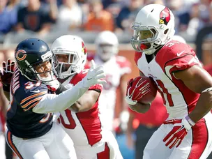 Bears on course for second defeat