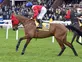 Cheltenham 2026: Festival legend Envoi Allen tragically passes away after Gold Cup