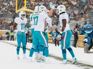 Dolphins edge out Steelers in thriller