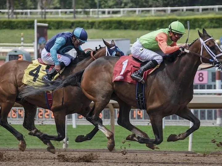6 Amateur betting mistakes to avoid at Belmont Stakes 