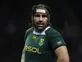 Matfield injury doubt for Springboks