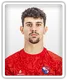 Tomas Araujo