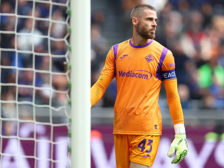 Fiorentina vs Atalanta - prediction, team news, lineups