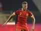 Alderweireld withdraws from Belgium squad