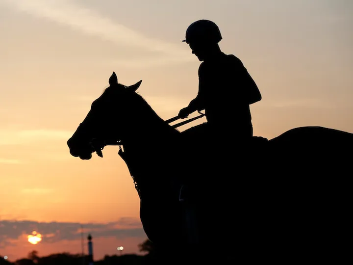 Coronavirus latest: Behind-closed-doors racing staged at Ayr