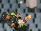 Misbah: 'Pakistan have recovered from scandal'
