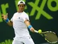 Fernando Verdasco sees off Tsonga