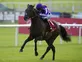 'Perfect racehorse' Camelot retires