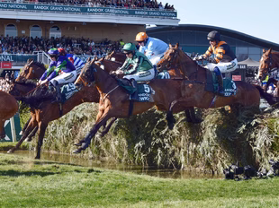 Grand National Fatalities: Did any horses pass away in today's race?