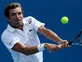 Tipsarevic victory pleases Dimitrov