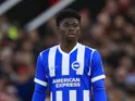 Carlos Baleba of Brighton & Hove Albion during his side's match against Manchester United, on October 25, 2025
