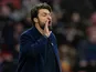 Southampton manager Russell Martin on November 24, 2024