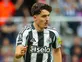 Team News: Newcastle vs. Fulham injury, suspension list, predicted XIs