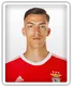 Petar Musa