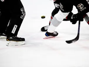 Popular celebrities who play hockey