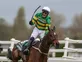 What is the ideal weight, age to win the Grand National?
