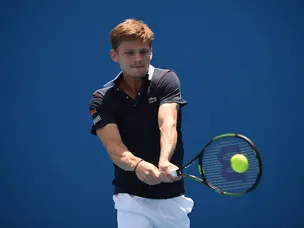 Goffin fights back to beat Arnaboldi