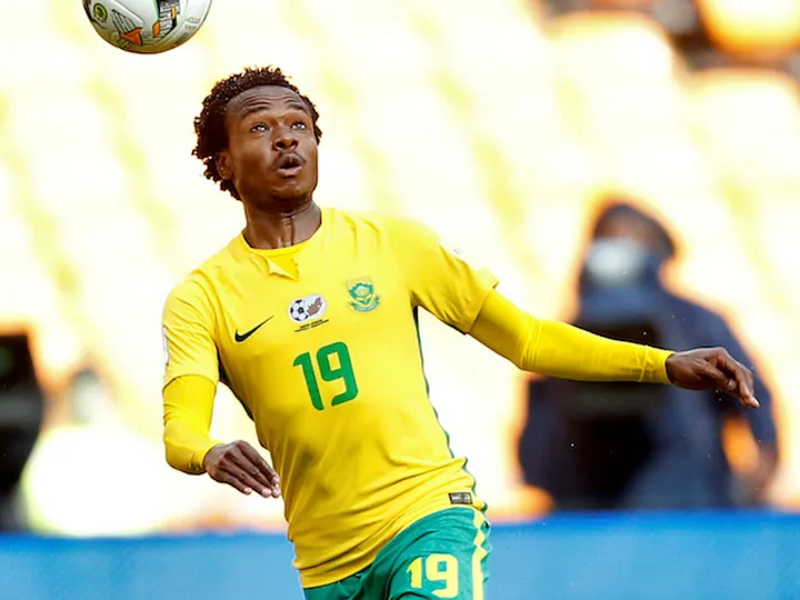 Brighton sign striker Percy Tau