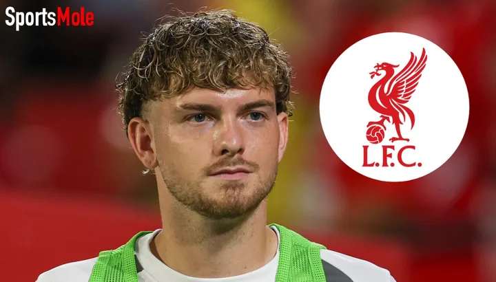 Liverpool's Harvey Elliott labelled 'thin-skinned child' by Spanish media after "absurd" Valencia red card