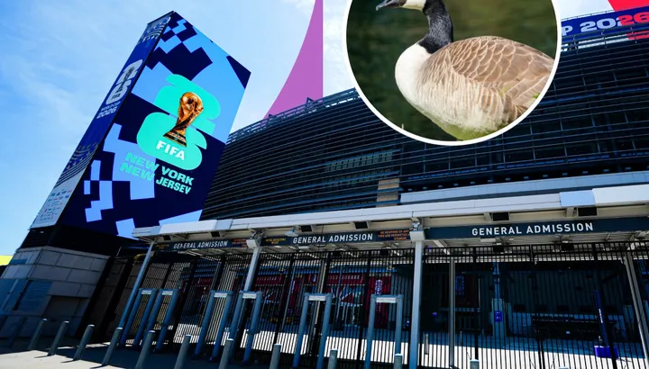 World Cup 2026: ‘Honk if you love geese’ activists bring unusual protest to MetLife Stadium spectacle