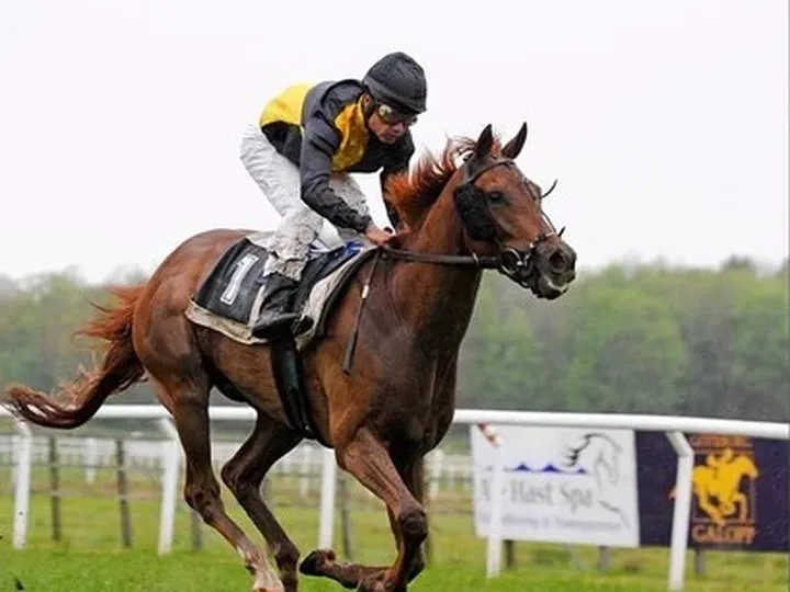 Joseph could thwart his dad with Thunder Moon in the 2,000 Guineas