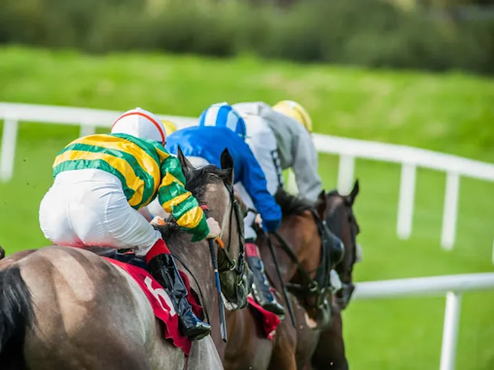 What jockeys will ride the favourites in the Cheltenham Gold Cup?