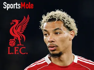 Ekitike injury update: Slot 'reveals' early diagnosis ahead of PL games